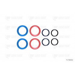 Seals for operation valve (CF300)