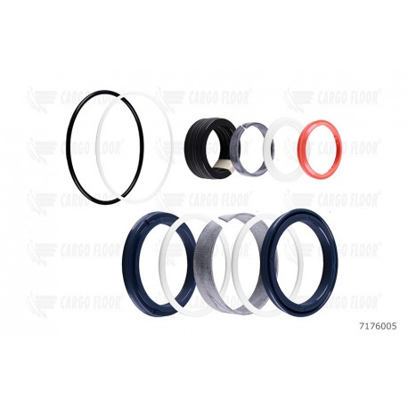 Seals for cylinder (CF300)